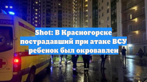 Shot: В Красногорске пострадавший при атаке ВСУ ребенок был окровавлен