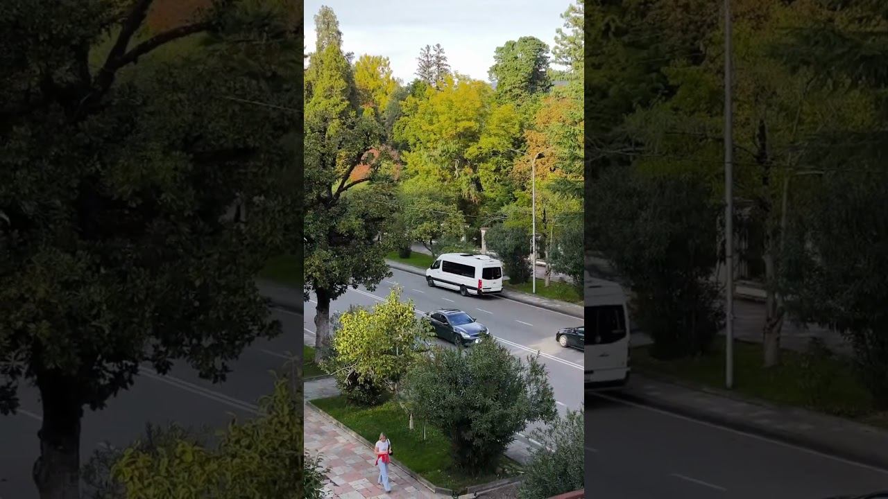 Зарисовки Сухума