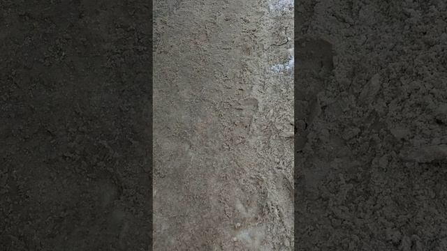 №178. ул. Белинского. 28 февраля 2025 г., 15:14:37. VID_20250228_151120061