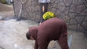 Опять я со своими рыбками.