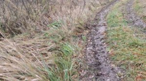 Потолок и часть стены готовы. Послушный пациент