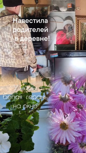 съездила домой загород