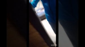 Девочки у меня в гостях