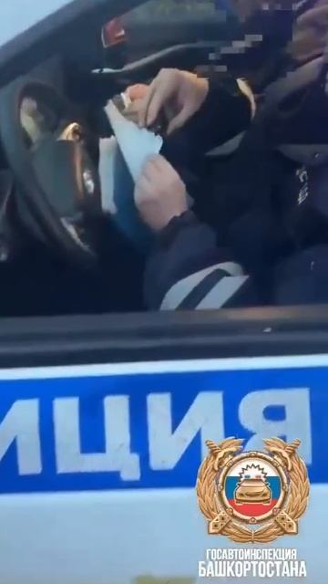 В Благовещенском районе Госавтоинспекция задержала водителя школьного автобуса с поддельными правами смотреть онлайн