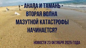 Анапа и Тамань, вторая волна мазутной катастрофы начинается, информация с пляжей 23 октября 2025 год