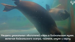 Первый день на Байкале!