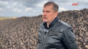 В Ромодановском районе убирают сахарную свёклу
