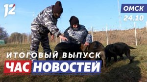 Готовят щенков к службе / Крысы захватили контейнерные площадки / Модная столица. Новости Омска