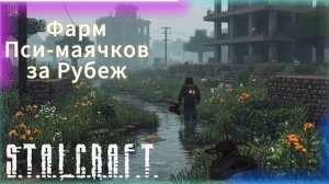 Фарм Пси-маячков за Рубеж в Сталкрафт