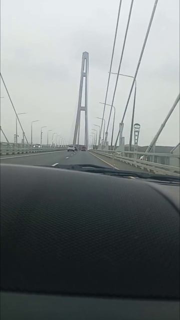 Мост на Русский остров. смотреть онлайн