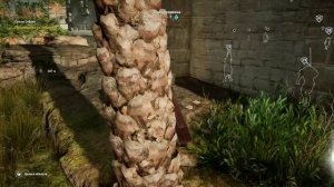 Assassin's Creed Origins 2025-10-19 21-43-10 №48