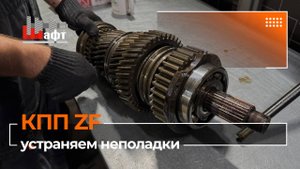 Устраняем неполадки КПП ZF