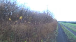 Без добычи, но зато погоняли от души!!!