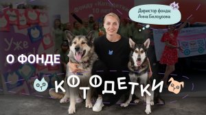 О ФОНДЕ КОТОДЕТКИ