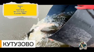 Привоз и запуск форели в размере 150кг