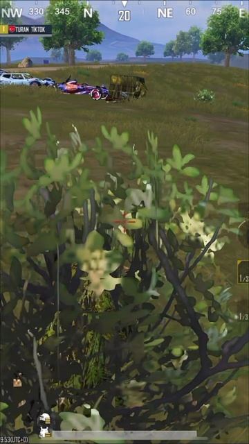 Спрятался в кустиках, карта  Эрангель. PUBG MOBILE. 24-10-2025