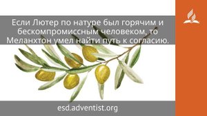 27 октября 2025. Образец здравого учения. Под сенью благодати | Адвентисты
