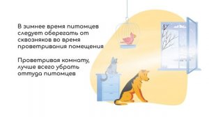 Забота о питомцах в холодное время года