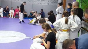 Калуга Jitsulife открытый ковёр