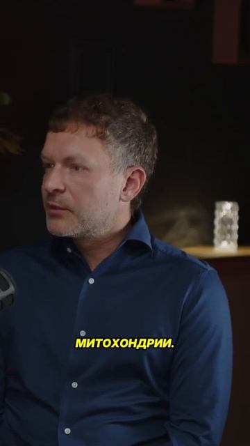 Митохондрии — новые звёзды биохакинга