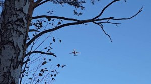 Снеготрек, Лесовик 66