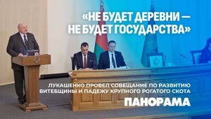 Лукашенко поставил жёсткие дедлайны для наведения порядка на Витебщине. Панорама