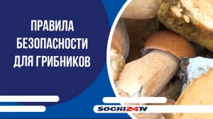 В МЧС РФ напомнили правила безопасности для грибников