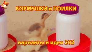 Кормушки и поилки для кур своими руками (202) 🪚✂️ Пошаговая инструкция как сделать 🐔 🐓❣️