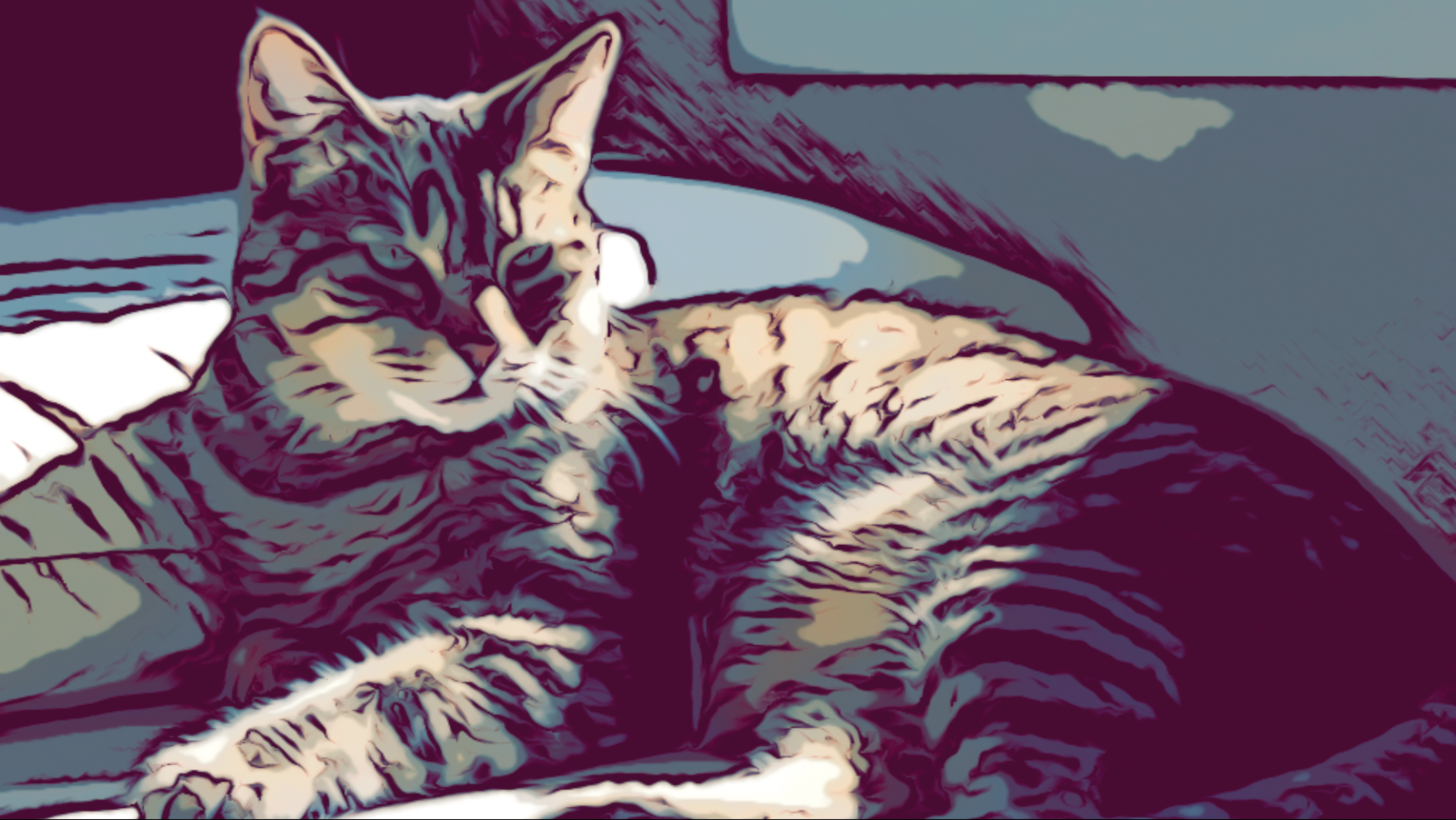 Смешные Животные: Необычный кот