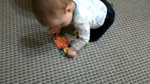 Жили у бабуси два весёлых гуся