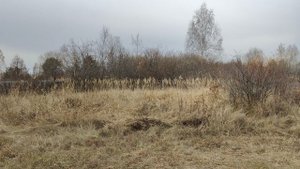 175 СНТ Нажжда Тюмень