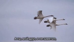 🎶ПОД КРЫЛЬЯМИ ВЕРЫ