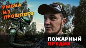 Давненько же я не ловил "Чужих"! А они оказались под боком!