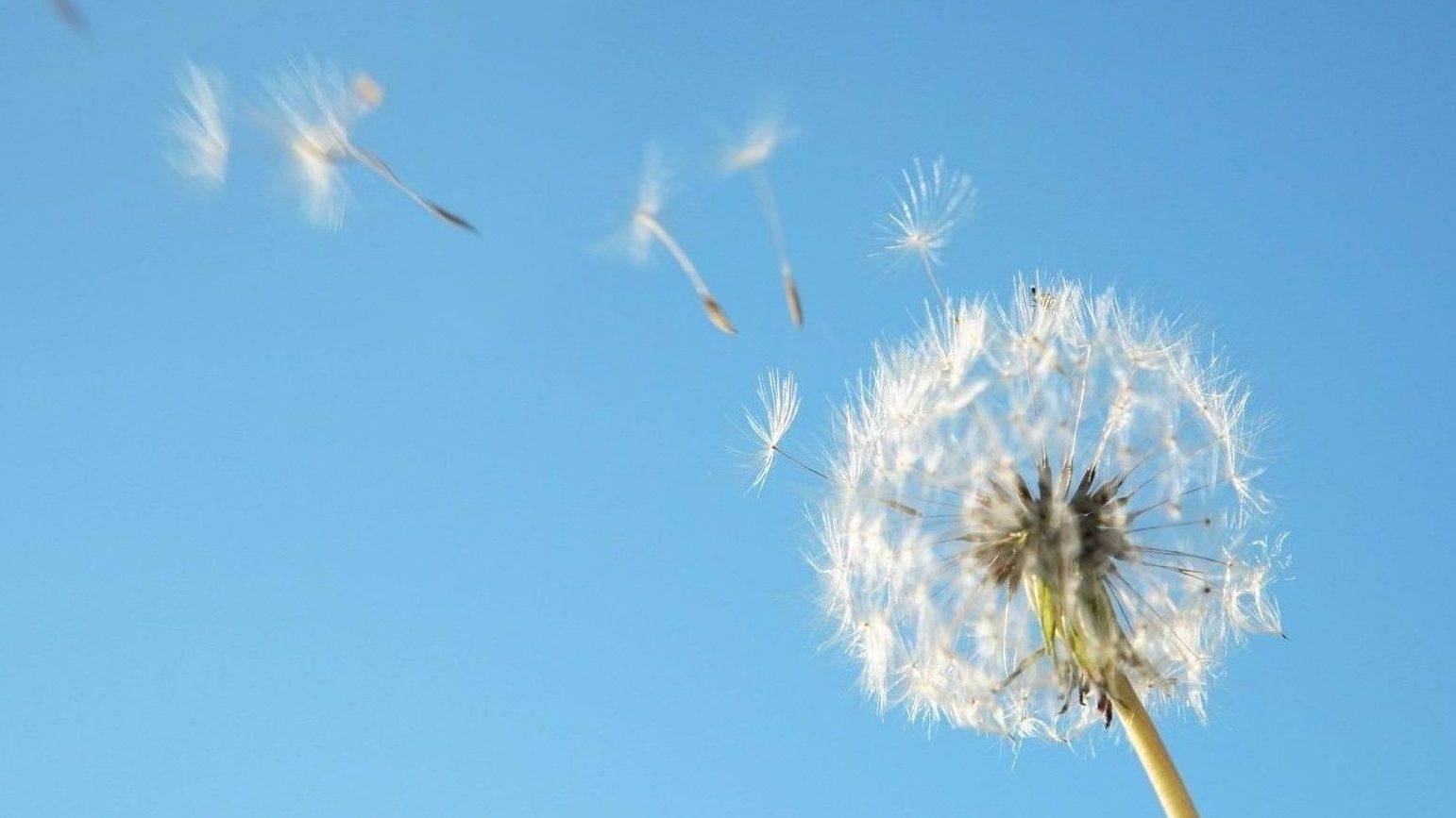 Песня ВЕТЕР ЖИЗНИ Авторскаяпесня Песниподгитару