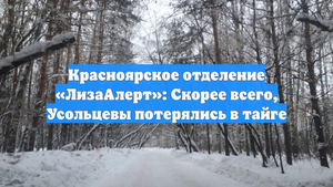 Красноярское отделение «ЛизаАлерт»: Скорее всего, Усольцевы потерялись в тайге