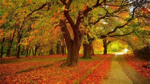 Женщина-Осень!