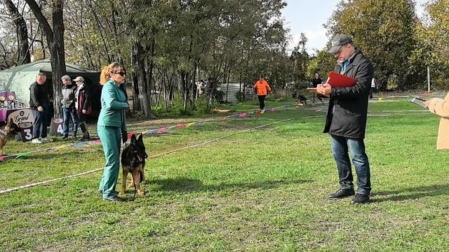 ОП Баларис НЭРРА №19. РОСТОВ-НА-ДОНУ 19 октября`25 Моно немецких овчарок