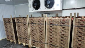 Франшиза от Клубничных Пиратов