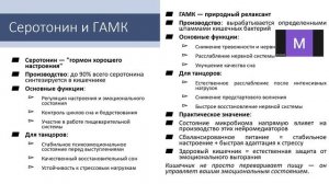 Часть 2. Ось кишечник-мозг