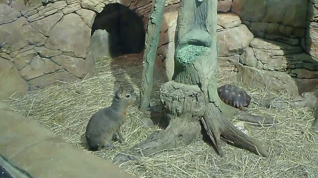 🌊🐠 Вторая часть нашего путешествия по Воронежскому океанариуму! Удивительные морские приключения ♦