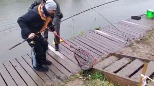 Упитанная Форелька