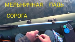 СОРОГА.