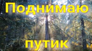 Поднимаю путик готовлю установки к сезону дошёл до избушки все порядке медведи не спят много шишки