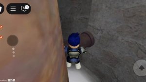 играю в роблокс