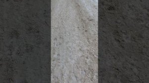 №180. Двор П. Осипенко 48. 28 февраля 2025 г., 15:24:22. VID_20250228_152117689