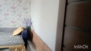 От старой кухни к новой, преображение. 24.10.25