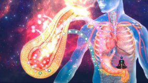 Сахарный Диабет чистая матрица подлинная Весь архив CD WAVEGENETICS.RU