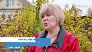 В Московской области 23 октября отмечают профессиональный праздник — День сельского старосты