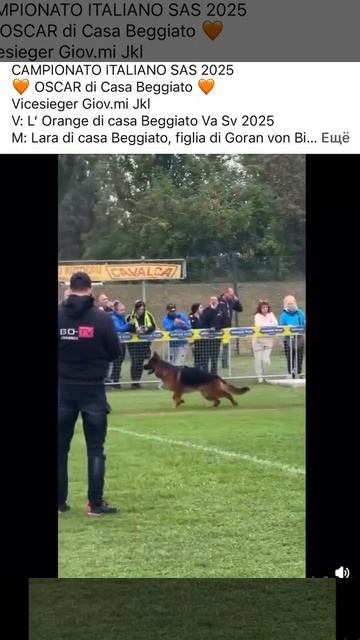 OSCAR di Casa Beggiato