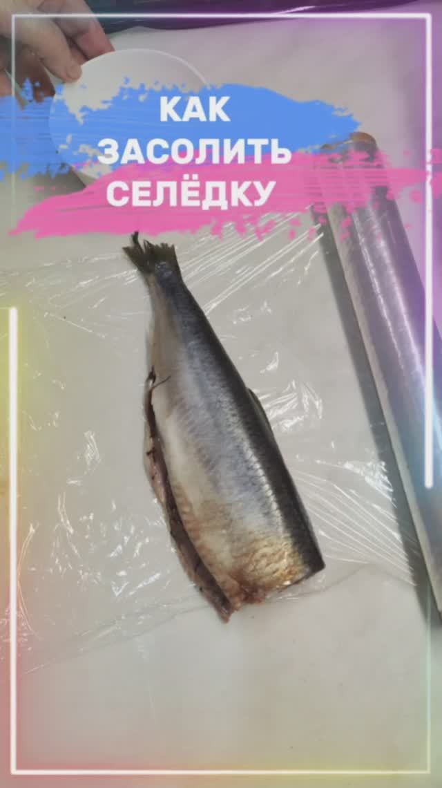 КАК ЗАСОЛИТЬ СЕЛЁДКУ?